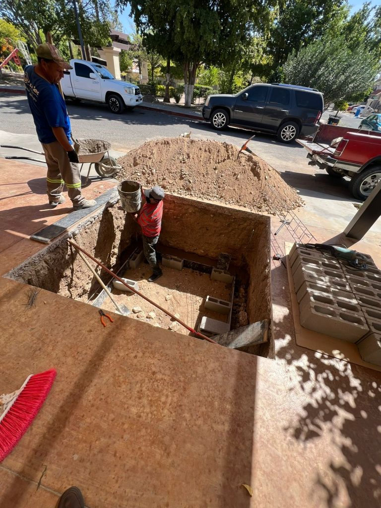 WhatsApp Image 2026-01-15 at 10.59.45 AM (1)