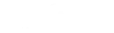 sector17